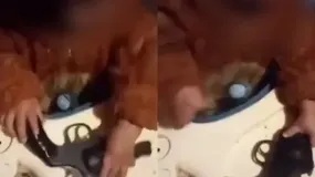 Detuvieron a una mujer tras viralizarse un video de su bebé con un arma