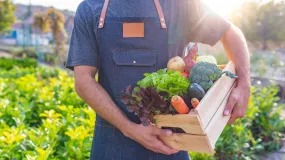 El Gobierno salió a respaldar a los horticultores tras un año complicado