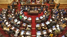 El Ejecutivo mandó al Senado un proyecto para cambiar de raíz las sociedades comerciales