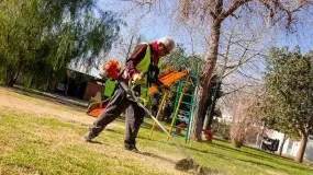 La Capital encara una nueva ronda de limpieza en plazas y espacios verdes