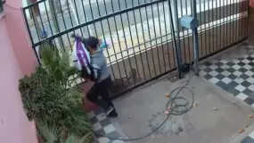 Se metieron y se llevaron alimento donado para perros rescatados
