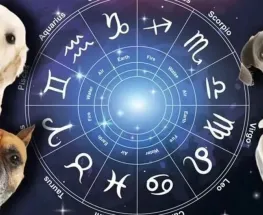 Anunciaron cuáles son los signos del zodiaco que tienen más afinidad con las mascotas