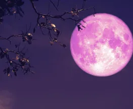 Esta noche llega la rara Luna de Fresa, un espectáculo que pasa cada 18 años