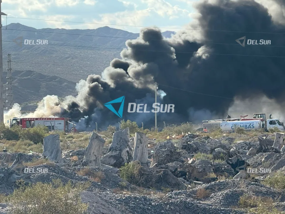 WhatsApp Image 2026-03-31 at 17.52.47.jpeg