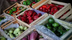 Estos son los valores en la Feria y Mercado de Abasto de Capital