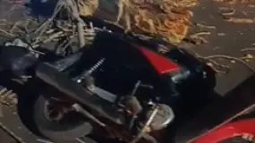 Un árbol se vino abajo en Rawson y destrozó una moto en plena calle