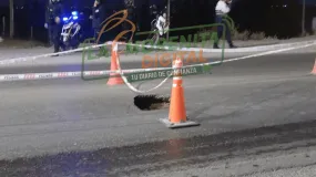 Un socavón complica el paso por Ruta 40 en Albardón
