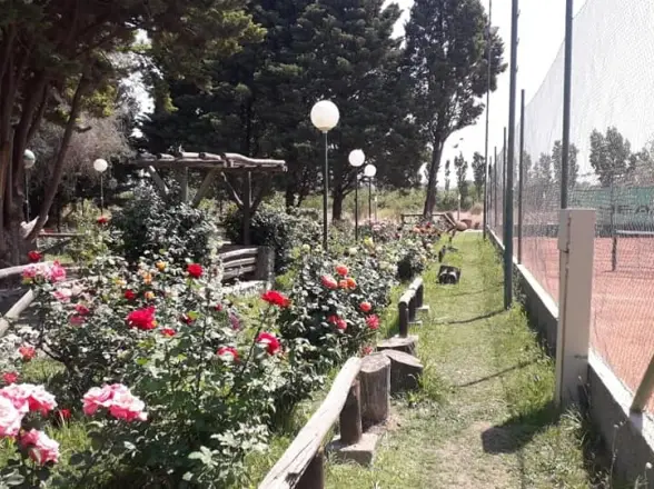 Se desplomó durante una poda y lucha por sobrevivir tras quedar en estado crítico