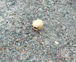 Un cráneo humano apareció en Punta Negra y la Justicia intenta atar cabos