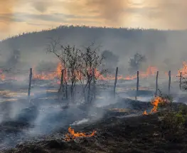 El Zonda complicó todo en Jáchal: un incendio puso en jaque una casa y terminaron arrestados tres hombres