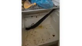 Prisión preventiva para un joven tras un violento operativo en Rivadavia