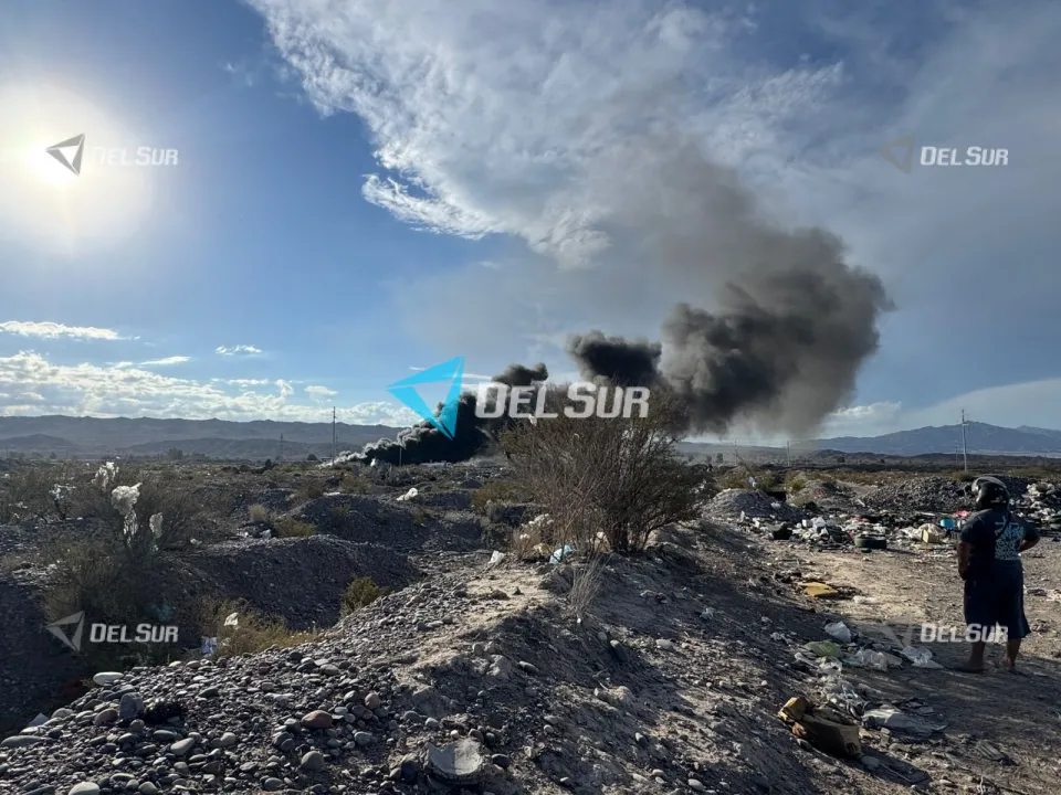 WhatsApp Image 2026-03-31 at 17.52.46 (1).jpeg