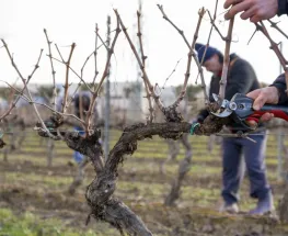 FOEVA destrabó la pulseada salarial y aseguró subas por tramos hasta agosto