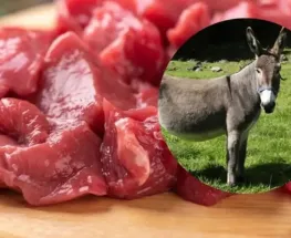 ¿Legal o no? Qué dice el Código Alimentario argentino sobre la carne de burro