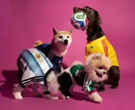 Adidas sorprendió con una línea de lujo para perros y gatos rumbo al Mundial 2026