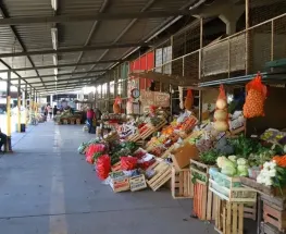La Feria y Mercado de Abasto llega esta semana con ofertas en verduras, frutas y carnes