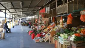 La Feria y Mercado de Abasto llega esta semana con ofertas en verduras, frutas y carnes