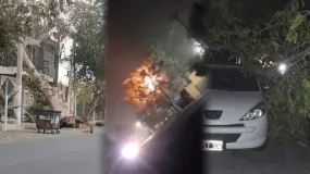 El Zonda pegó fuerte en San Juan: ramas caídas, chispazos y suspensión de actividades