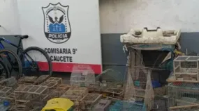 Cinco detenidos tras un operativo por fauna silvestre protegida en Caucete