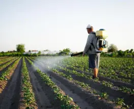 El agro sanjuanino suma una nueva línea para comprar agroquímicos