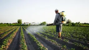 El agro sanjuanino suma una nueva línea para comprar agroquímicos