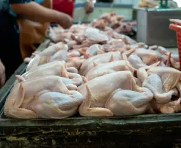 El pollo le ganó la pulseada a la carne vacuna y marcó un récord en Argentina