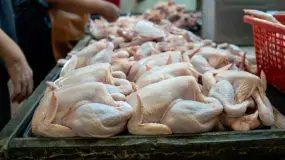 El pollo le ganó la pulseada a la carne vacuna y marcó un récord en Argentina