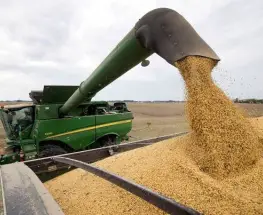 La soja dejó 50,1 millones de toneladas y sorprendió por su salto frente al promedio