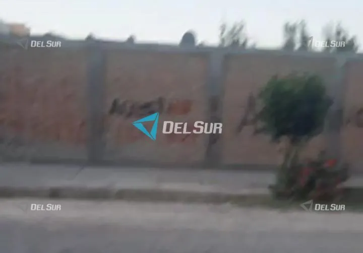 WhatsApp Image 2025-10-17 at 08.31.38.jpeg