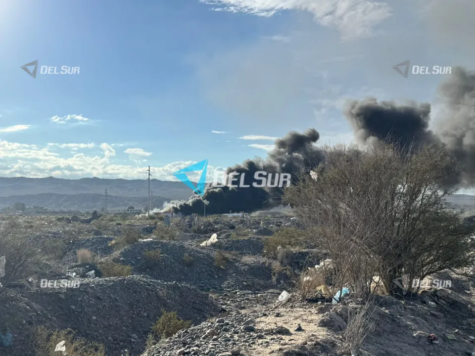 WhatsApp Image 2026-03-31 at 17.52.46.jpeg