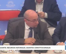 Peluc aseguró que la mayoría de las presentaciones bancan la nueva Ley de Glaciares