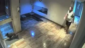 Filmó cómo agredía a su perro en un edificio y terminó tras las rejas