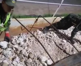 Pararon un camión con cuarzo que iba a pasar por San Juan y destaparon un caso de fauna protegida