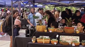 La Feria Agroproductiva vuelve a tomar la Plaza Seca con sabores sanjuaninos