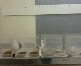 San Juan suma refuerzo clave para frenar la Mosca de los Frutos