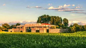 Bodega histórica de Mendoza echó a 17 empleados y arrastra más de $1.600 millones en cheques rebotados
