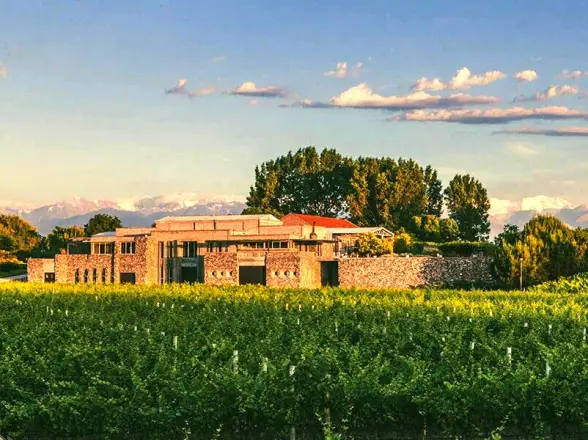 Bodega histórica de Mendoza echó a 17 empleados y arrastra más de $1.600 millones en cheques rebotados